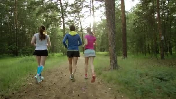 Correndo em uma floresta — Vídeo de Stock