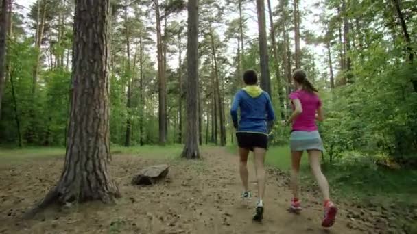 Corriendo en un bosque — Vídeo de stock