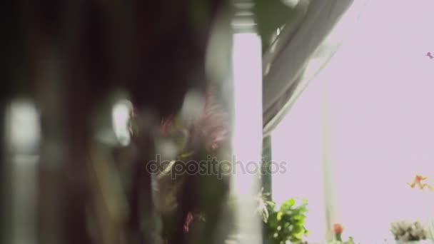 Selfie 꽃과 함께 복용 — 비디오