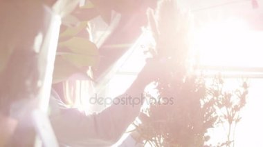 güneşli çiçekçi twigs buket oluşturma görünümünü