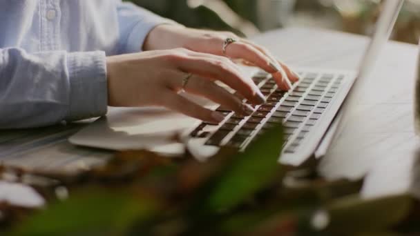 妇女的手在计算机键盘上打字 — 图库视频影像
