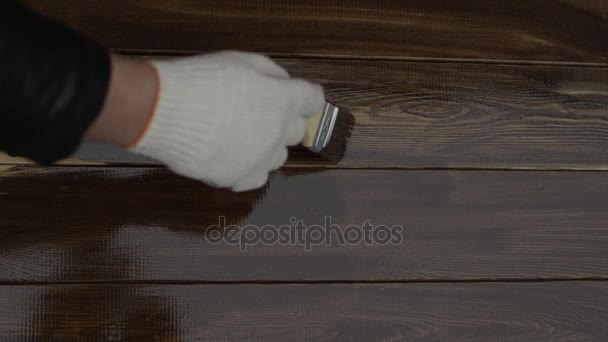 人間の手による木材の塗装 — ストック動画