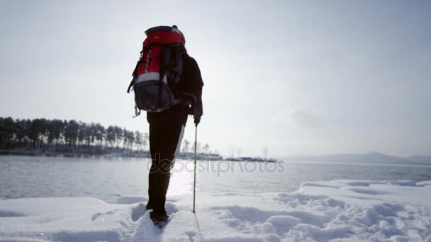 Vista traseira de um viajante Caminhadas no lago de inverno — Vídeo de Stock