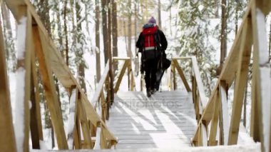 ahşap Teras kış ormanda yürüyüş Gezgin