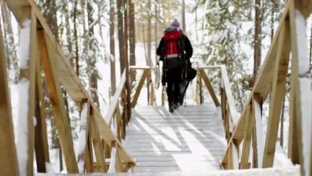木製のテラスで冬の森を歩いている旅行者 — ストック動画