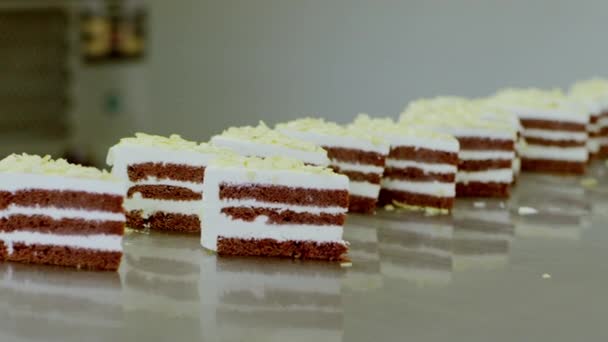 Кусочки торта стоят на столе — стоковое видео