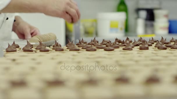 Person sätter macarons i paketet — Stockvideo