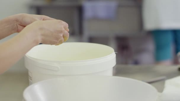 Kvinnlig hand raster ägg och separera äggulan från proteinet — Stockvideo