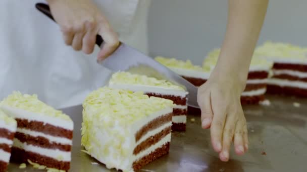 Las manos de mujer cortan las rebanadas de pastel de cerca ver — Vídeos de Stock