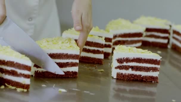 Vrouw handen snij van de plakjes cake met het mes — Stockvideo