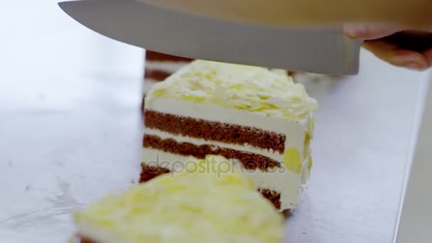 Close-up van vrouw handen snijd de plakjes cake — Stockvideo