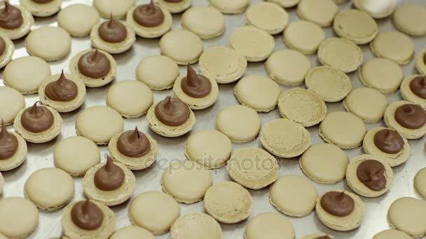 Alguns dos macarons amarelos metades revestidas com creme — Vídeo de Stock