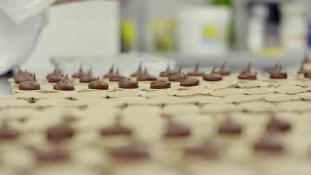 Añadir relleno de chocolate a los macarrones y empacarlo — Vídeo de stock