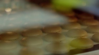 Macarons yakından görmek profesyonel bir fırında pişirme