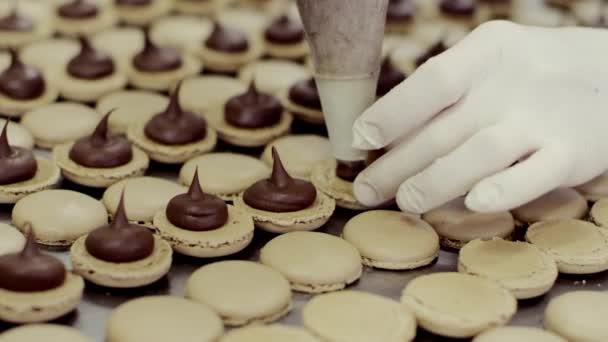 Human adds filling to some halves of macarons — Stock Video