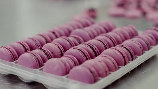Ready macarons lay in plastic packaging — Stock Video