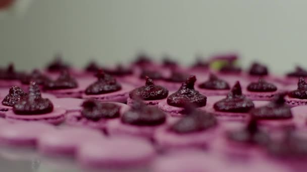 Einige rosa Macaronehälften mit Sahne überzogen — Stockvideo