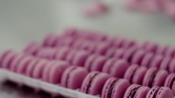 Main humaine emballe les macarons — Video
