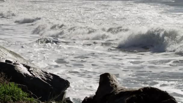 Ondas oceânicas colidem com uma praia e penhascos rochosos — Vídeo de Stock