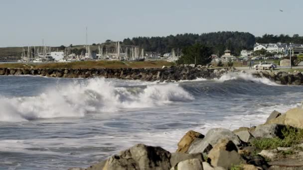 Des vagues océaniques s'écrasent sur une plage et des falaises rocheuses — Video