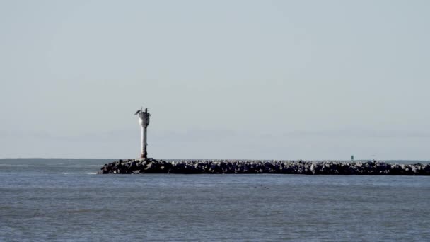 Vue imprenable sur l'océan Pacifique — Video