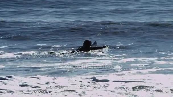 Surfisti sulle onde blu dell'oceano Pacifico — Video Stock