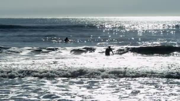 Серферы на синих волнах Тихого океана — стоковое видео