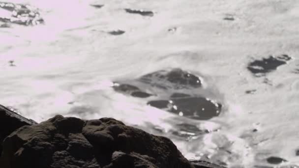 Meereswellen krachen auf einen Strand und felsige Klippen — Stockvideo