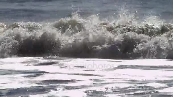 Şaşırtıcı Pasifik Okyanusu dalgaları — Stok video