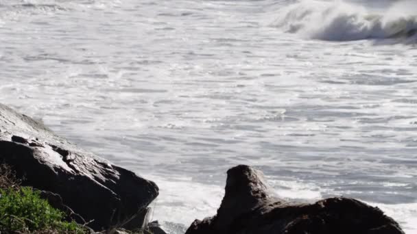 Las olas del océano chocan contra una playa y acantilados rocosos — Vídeo de stock