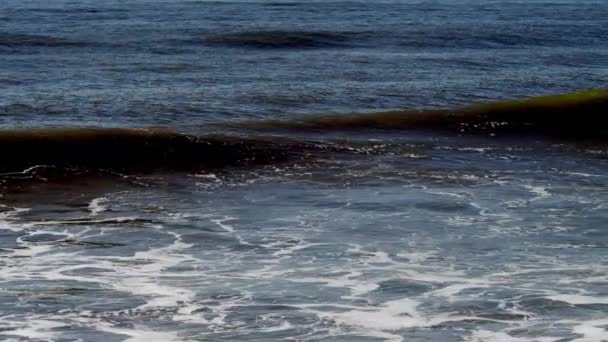 Ondas incríveis do oceano estão batendo contra a costa — Vídeo de Stock