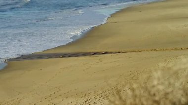 Pasifik Okyanusu'nun muhteşem görünümü