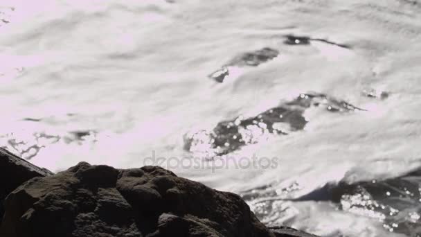 Meereswellen krachen auf einen Strand und felsige Klippen — Stockvideo