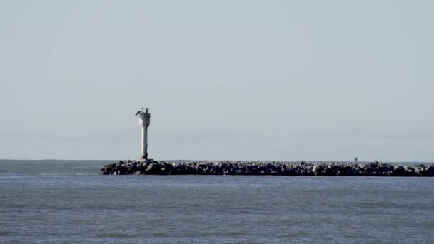 Vue imprenable sur l'océan Pacifique 