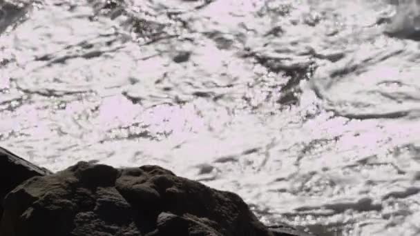 Onde oceaniche si infrangono su una spiaggia e scogliere rocciose — Video Stock