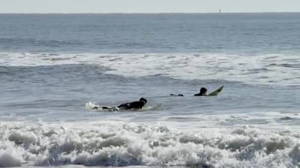 Surfistas em ondas azuis do oceano Pacífico — Vídeo de Stock