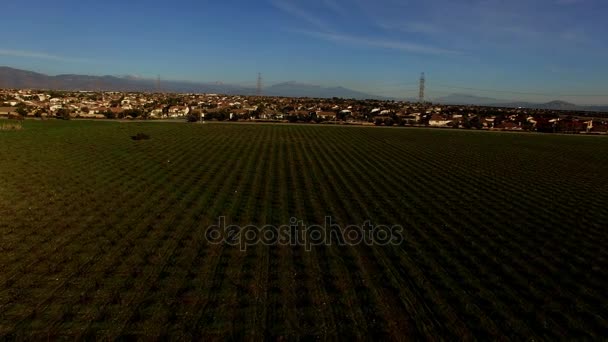 Panorama Flygfoto över landskapet i landsbygden brims — Stockvideo