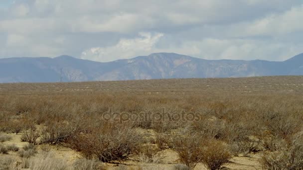 El fragmento de video filmado del área de la estepa — Vídeos de Stock