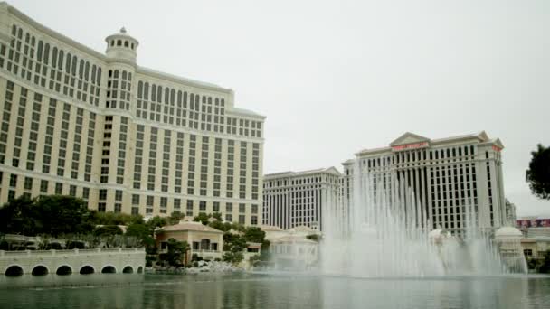 Perfect water show at the Bellagio in daytime — Stock Video