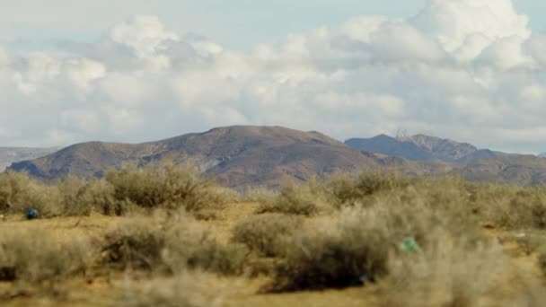 El vídeo acelerado de la naturaleza — Vídeo de stock