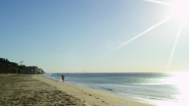 Healthy man is running on the Pacific coast — Stock Video