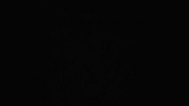 İki genç iş adamları karşılamak ve el sallamak