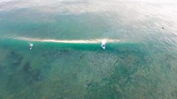 Surfare i vattnet och på en sand — Stockvideo