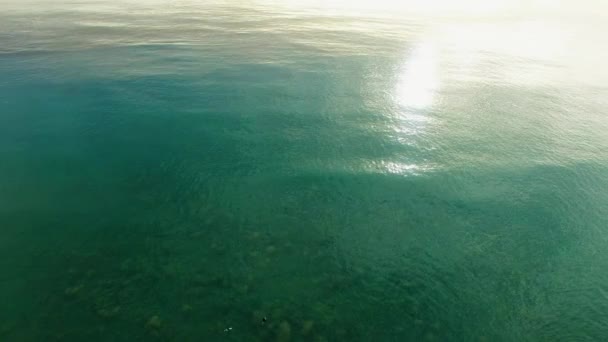 Surfisti nell'acqua dell'oceano Pacifico — Video Stock