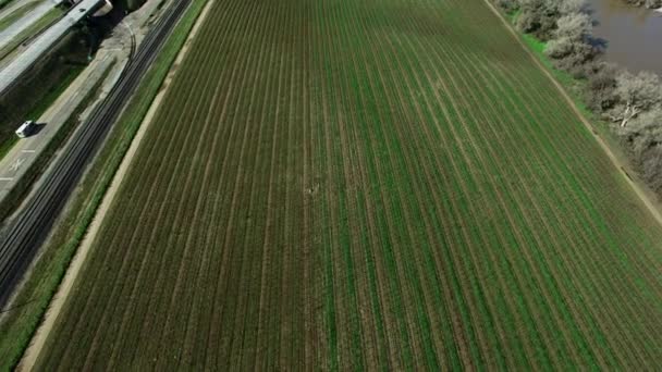 Luftaufnahme von Plantage zwischen Autobahn und Fluss — Stockvideo