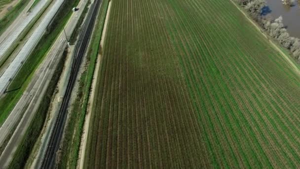 Hubschrauberschuss auf Plantage nahe Autobahn mit Autos — Stockvideo