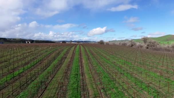 Disparo de helicóptero de plantación cerca de la carretera — Vídeo de stock