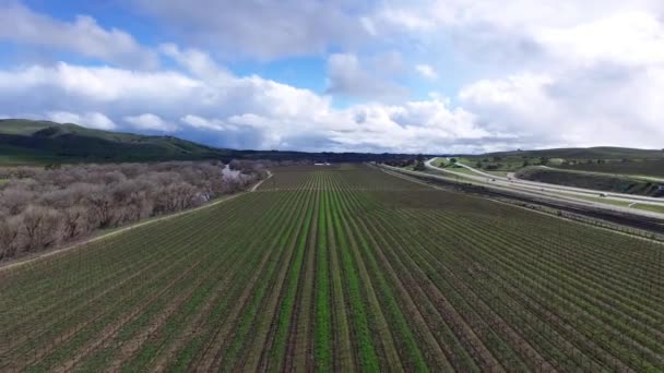 Tiro aéreo de campo de plantação entre rio e rodovia — Vídeo de Stock