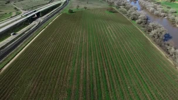 Plantagenfeld nahe Autobahn mit Hubschrauber beschossen — Stockvideo