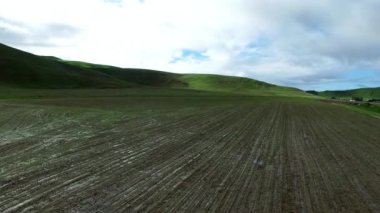 Kirli saç ekimi alanı yukarıdan görüntüleyin